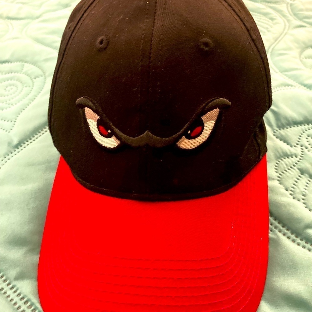 Lake Elsinore Storm Minor League Baseball hat autographed Embroidered eyes